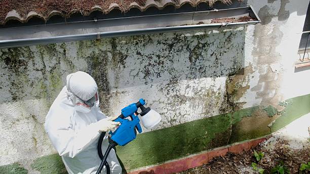 Mold Remediation service in Springfield, Springfield, IL